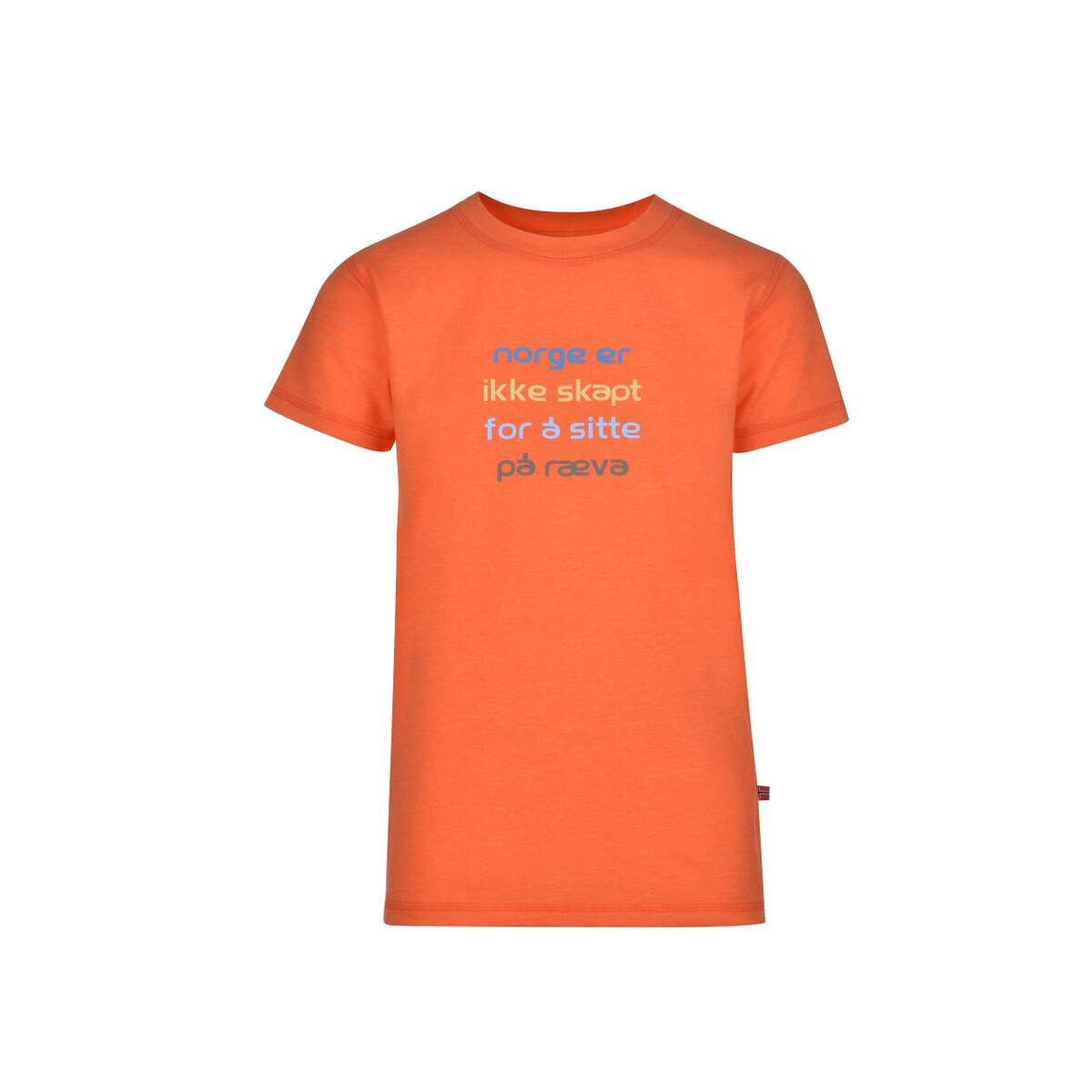 jotunheim-varde-t-shirt-m-print-jr-norgevermillion-orange