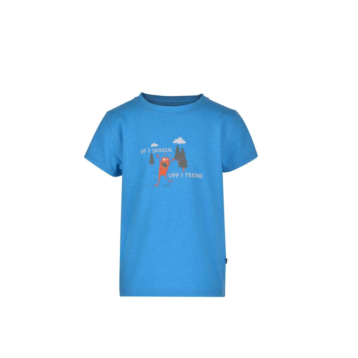 jotunheim-varde-t-shirt-m-print-mini-skogenblue-danube