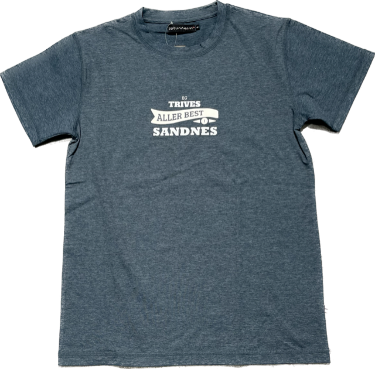 jotunheim-varde-t-shirt-dest-ss23-orion-blue