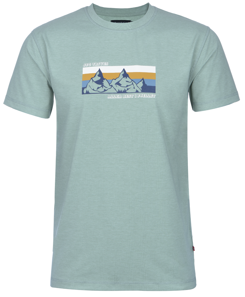 jotunheim-varde-t-shirt-m-print-fjelleticeberg-green