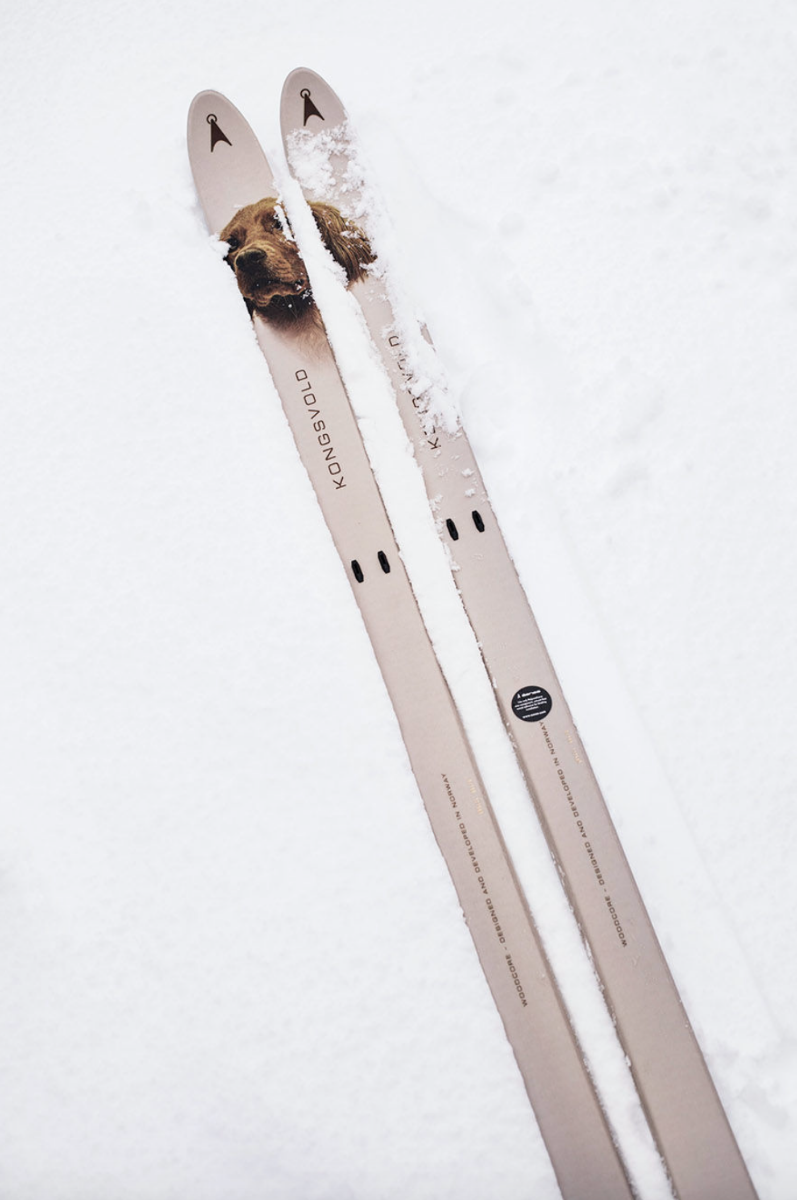 Bilde av Åsnes  Kongsvold Bc Ski 2022 