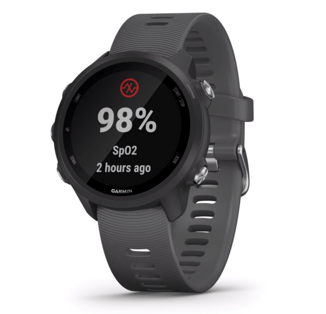 garmin 245 slate