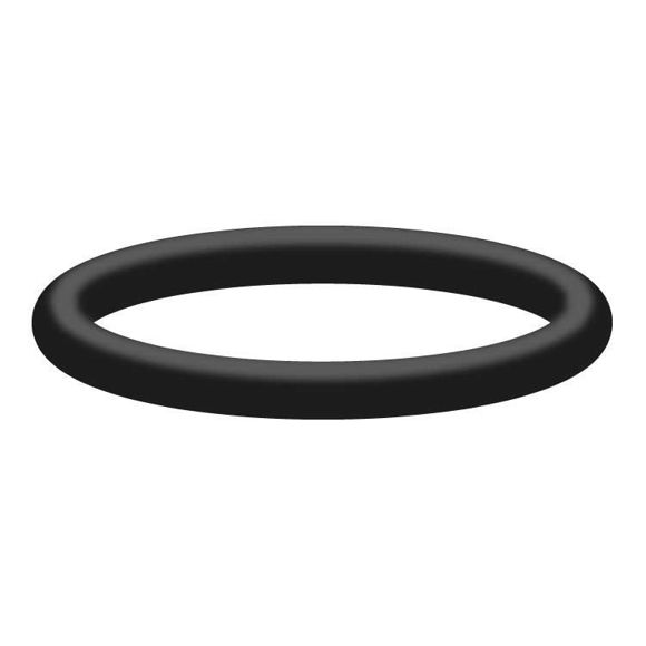 Bilde av O-ring for ventilplugg Interpump - mod. WS47