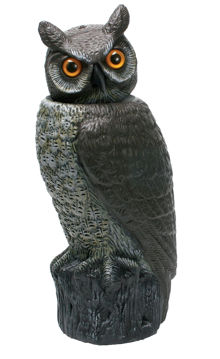 Vis detaljer for Fugleskremmer ugle med bevegelig hode Bilde av Fugleskremmer ugle med bevegelig hode