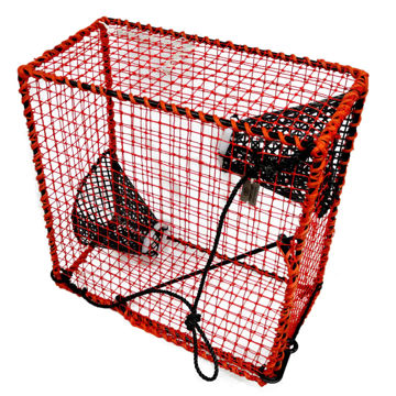 Vis detaljer for Sjøkrepseteine m/hanefot og råtnetråd Bilde av Sjøkrepseteine m/hanefot og råtnetråd