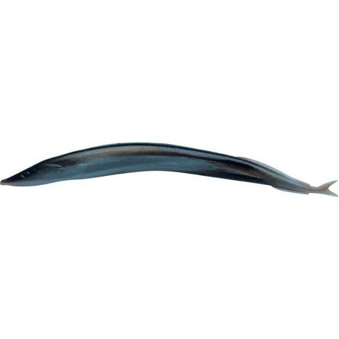 Bilde av Gulp Alive Sand Eel 13cm Silver Mud