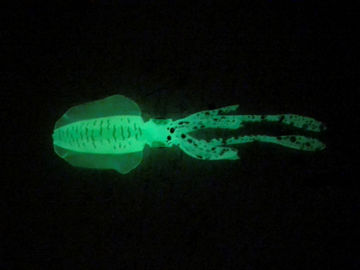 Bilde av Selvlysende Wing squid