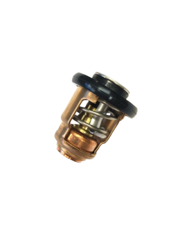 Bilde av Yamaha termostat 6AH-1241100-00