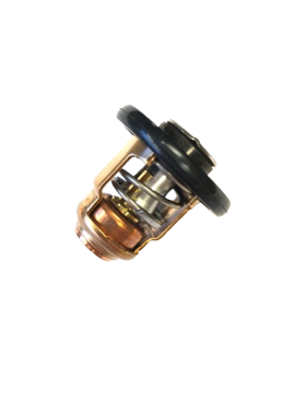 Bilde av Yamaha Termostat 6FM-12411-00