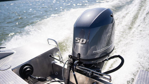 Bilde av YAMAHA F50LETL