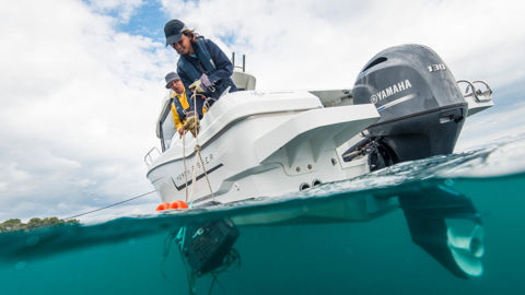 Bilde av YAMAHA F130LA