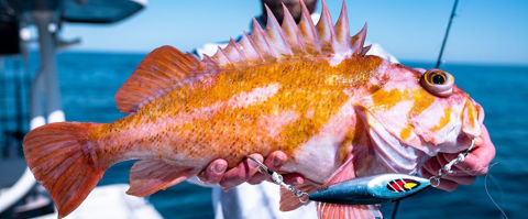 Bilde av Daiwa MR Slow Jig 180g